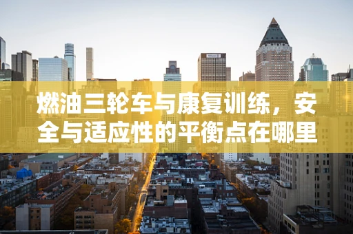 燃油三轮车与康复训练，安全与适应性的平衡点在哪里？
