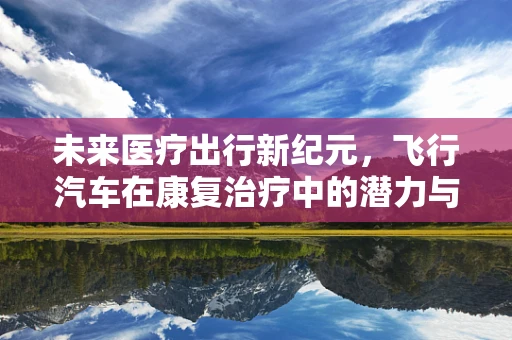 未来医疗出行新纪元，飞行汽车在康复治疗中的潜力与挑战？