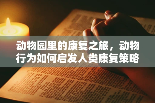 动物园里的康复之旅，动物行为如何启发人类康复策略？