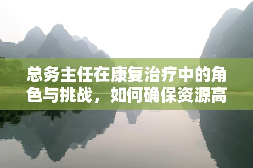 总务主任在康复治疗中的角色与挑战，如何确保资源高效利用？