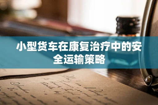 小型货车在康复治疗中的安全运输策略