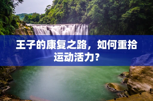 王子的康复之路，如何重拾运动活力？