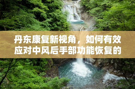 丹东康复新视角，如何有效应对中风后手部功能恢复的挑战？