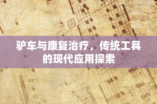 驴车与康复治疗，传统工具的现代应用探索