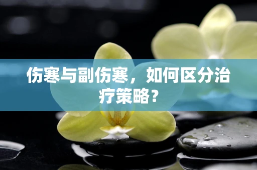 伤寒与副伤寒，如何区分治疗策略？