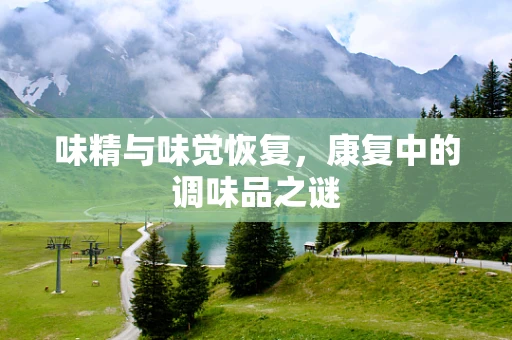 味精与味觉恢复，康复中的调味品之谜
