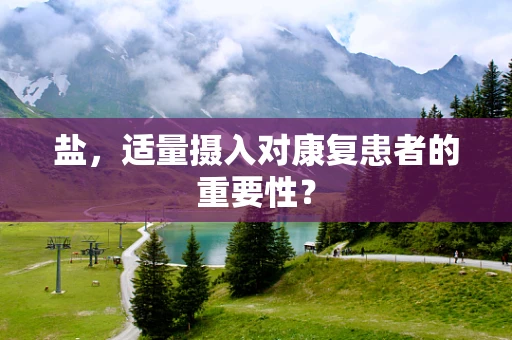 盐，适量摄入对康复患者的重要性？