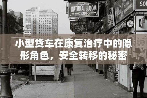 小型货车在康复治疗中的隐形角色，安全转移的秘密