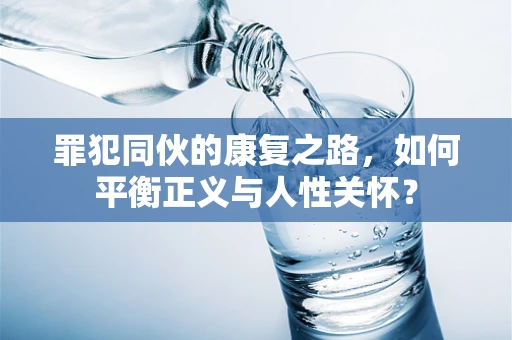 罪犯同伙的康复之路，如何平衡正义与人性关怀？