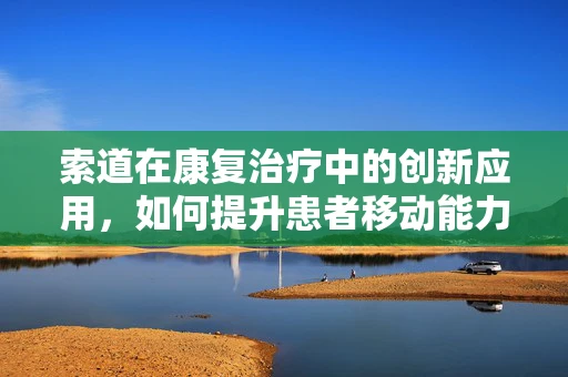 索道在康复治疗中的创新应用，如何提升患者移动能力？