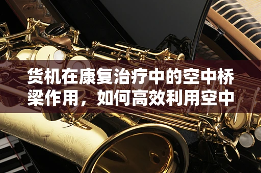 货机在康复治疗中的空中桥梁作用，如何高效利用空中运输资源？