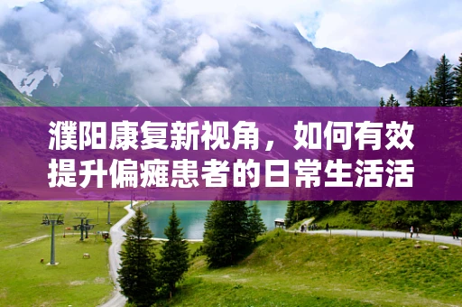 濮阳康复新视角，如何有效提升偏瘫患者的日常生活活动能力？