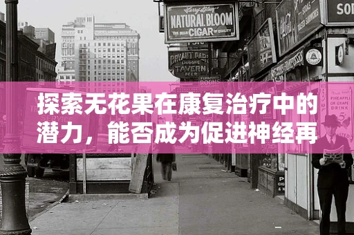 探索无花果在康复治疗中的潜力，能否成为促进神经再生的奇迹果？