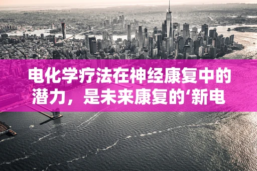 电化学疗法在神经康复中的潜力，是未来康复的‘新电波’吗？