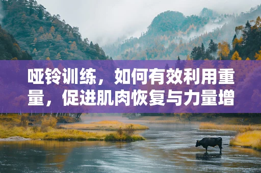 哑铃训练，如何有效利用重量，促进肌肉恢复与力量增强？
