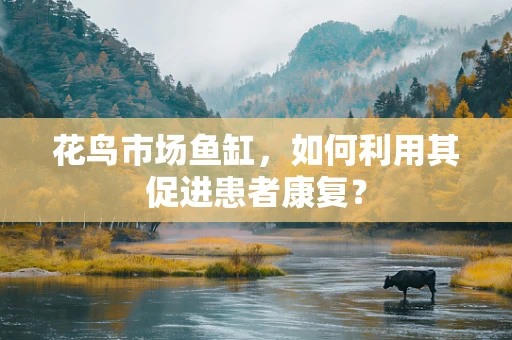 花鸟市场鱼缸，如何利用其促进患者康复？