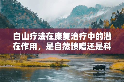 白山疗法在康复治疗中的潜在作用，是自然馈赠还是科学迷思？
