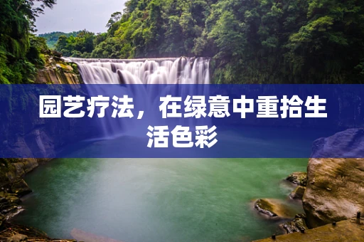 园艺疗法，在绿意中重拾生活色彩