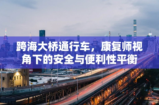 跨海大桥通行车，康复师视角下的安全与便利性平衡