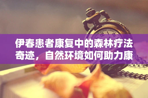 伊春患者康复中的森林疗法奇迹，自然环境如何助力康复？