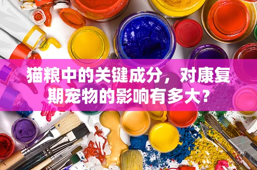 猫粮中的关键成分，对康复期宠物的影响有多大？