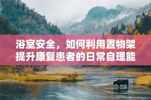 浴室安全，如何利用置物架提升康复患者的日常自理能力？
