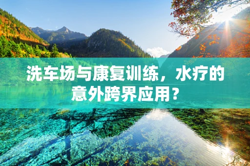 洗车场与康复训练，水疗的意外跨界应用？