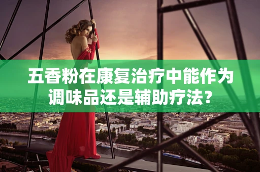 五香粉在康复治疗中能作为调味品还是辅助疗法？