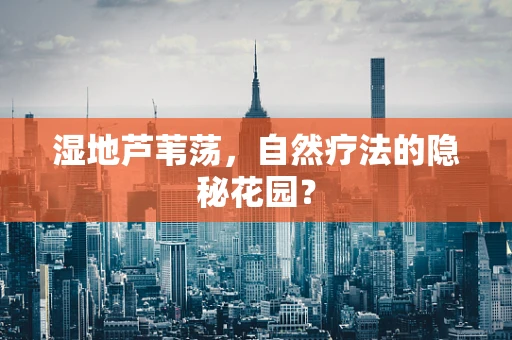 湿地芦苇荡，自然疗法的隐秘花园？