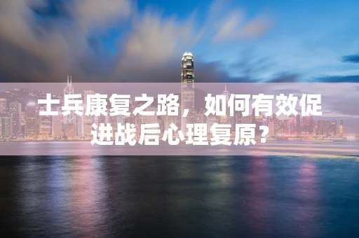 士兵康复之路，如何有效促进战后心理复原？
