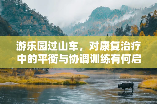 游乐园过山车，对康复治疗中的平衡与协调训练有何启示？