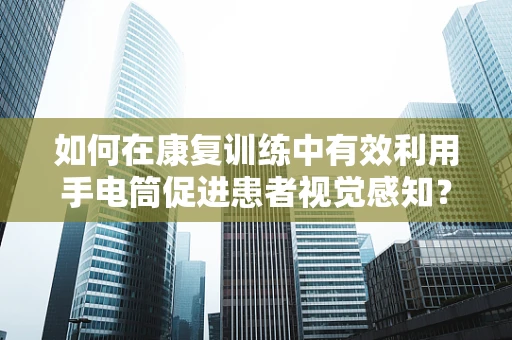 如何在康复训练中有效利用手电筒促进患者视觉感知？