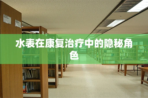 水表在康复治疗中的隐秘角色