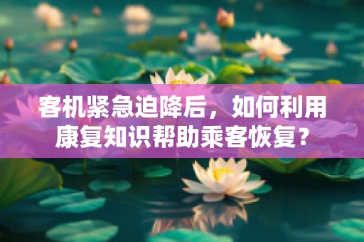 客机紧急迫降后，如何利用康复知识帮助乘客恢复？