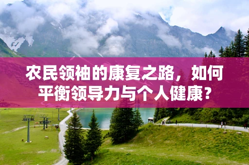 农民领袖的康复之路，如何平衡领导力与个人健康？