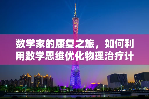 数学家的康复之旅，如何利用数学思维优化物理治疗计划？