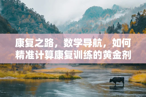 康复之路，数学导航，如何精准计算康复训练的黄金剂量？