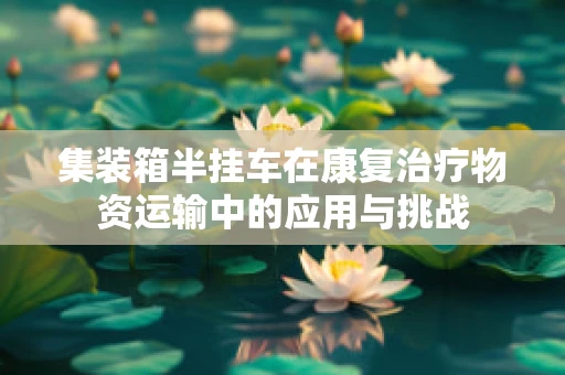 集装箱半挂车在康复治疗物资运输中的应用与挑战