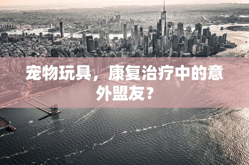 宠物玩具，康复治疗中的意外盟友？