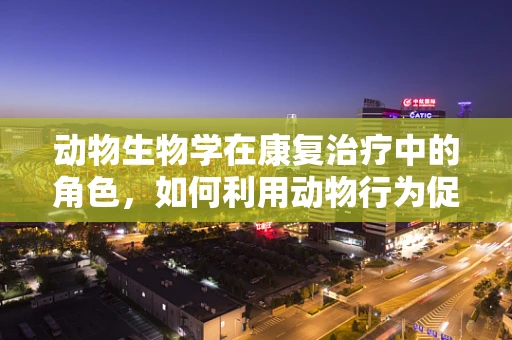 动物生物学在康复治疗中的角色，如何利用动物行为促进患者恢复？