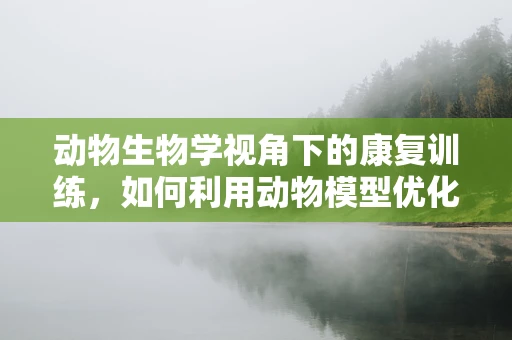 动物生物学视角下的康复训练，如何利用动物模型优化人类康复策略？