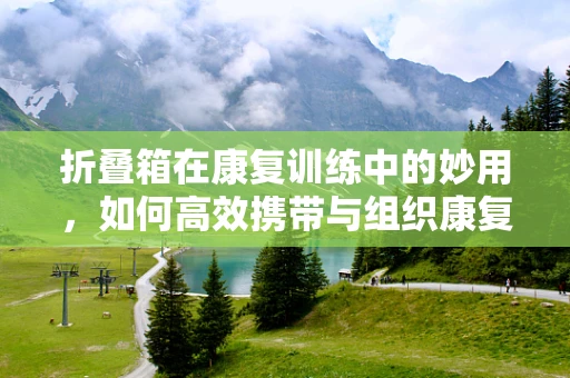 折叠箱在康复训练中的妙用，如何高效携带与组织康复器材？