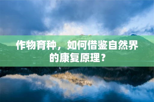 作物育种，如何借鉴自然界的康复原理？