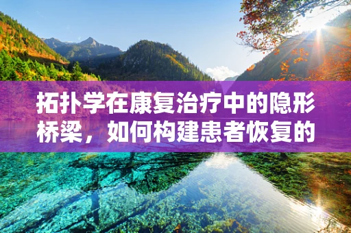 拓扑学在康复治疗中的隐形桥梁，如何构建患者恢复的连续性？