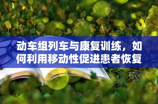 动车组列车与康复训练，如何利用移动性促进患者恢复？