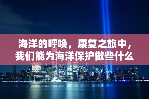 海洋的呼唤，康复之旅中，我们能为海洋保护做些什么？