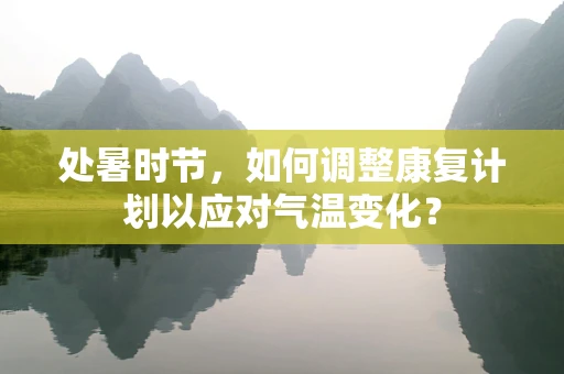 处暑时节，如何调整康复计划以应对气温变化？