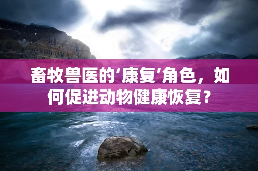 畜牧兽医的‘康复’角色，如何促进动物健康恢复？