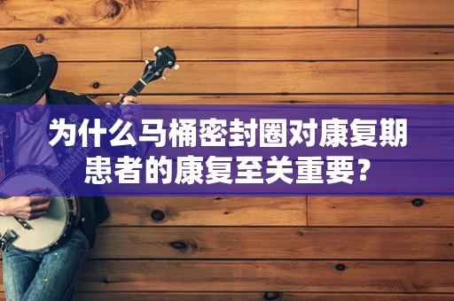 为什么马桶密封圈对康复期患者的康复至关重要？