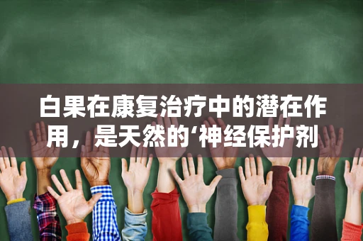 白果在康复治疗中的潜在作用，是天然的‘神经保护剂’吗？